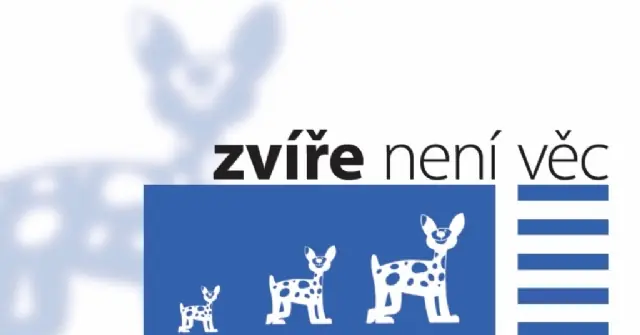VERNISÁŽ VÝSTAVY ZVÍŘE NENÍ VĚC — Hankův dům, Dvůr Králové nad Labem