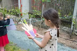 Colorful Morning: Land Art Beyond the Fence