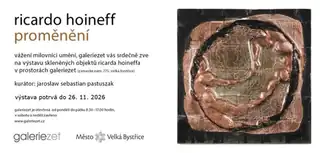 Ricardo Hoineff: Proměnění