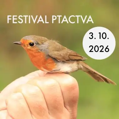 Festival ptactva 2026 — Regionální muzeum Mělník, p. o., Mělník