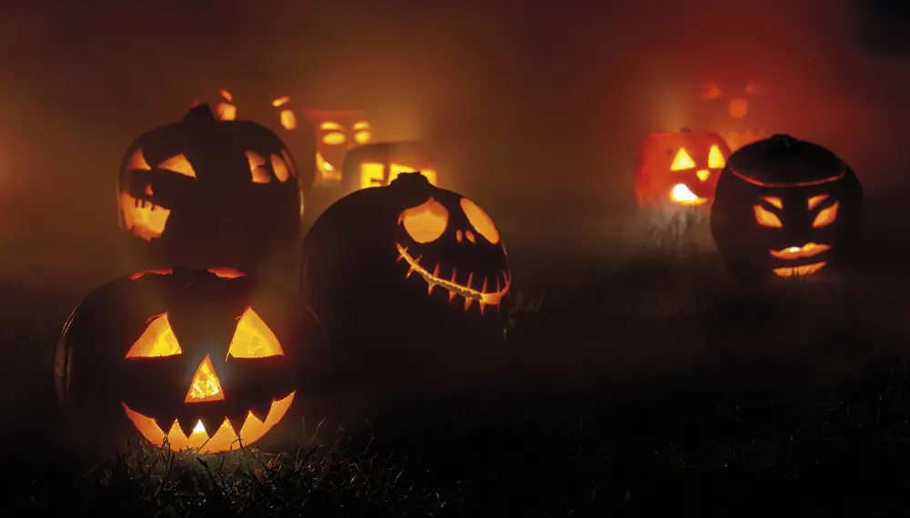 Dýňobraní | 31.10.2026 — Zámek Děčín, Děčín
