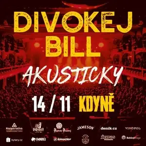 Divokej Bill