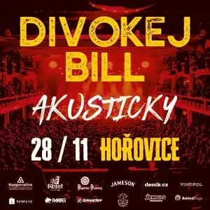 Divokej Bill