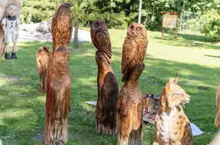 Holzfestival in Ostrava - Tag im Wald 2026