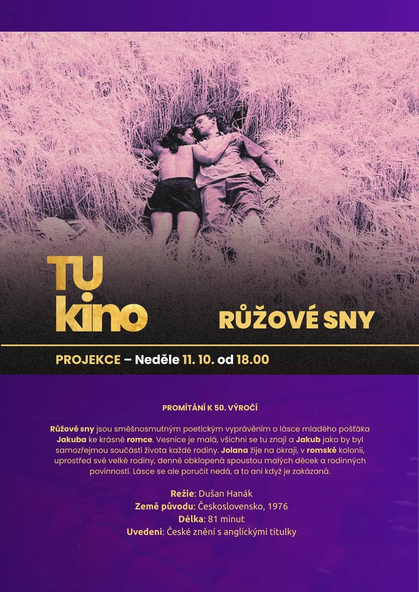 Tukino 2026 / Projekce Růžové sny + diskuze s Ivou Bittovou — Televizní institut, Brno