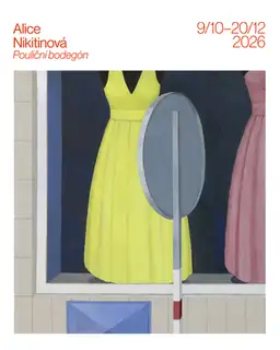 Alice Nikitinová – Pouliční bodegón