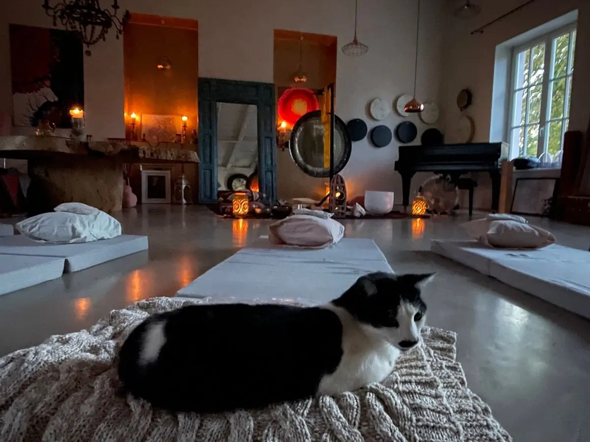 Gong-Bad mit Katzen — Prag