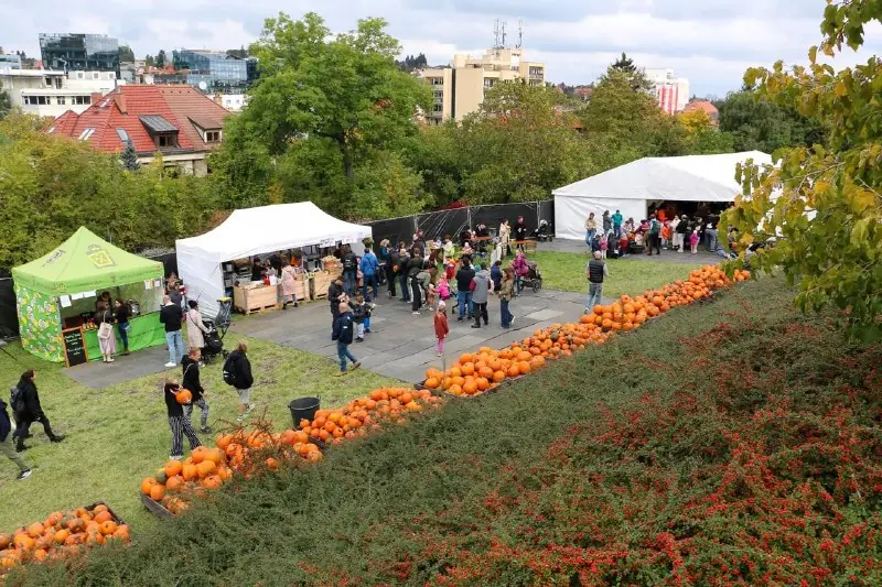 Dýňové slavnosti — Zahradnictví Chládek, Prag