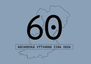 Находська художня зима