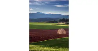 КТИБОР КОШТАЛЬ: ИЗ ЖИЗНИ ФОТОГРАФА