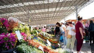 FLORIA Весна 2027 - Частина 1