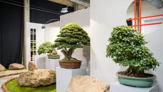FLORIA Осінь 2027