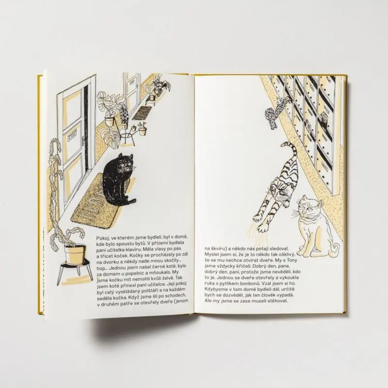 Михаела Куковічова, Ілюстрації до книги "Бажання" — Galerie výtvarného umění v Chebu, Хеб