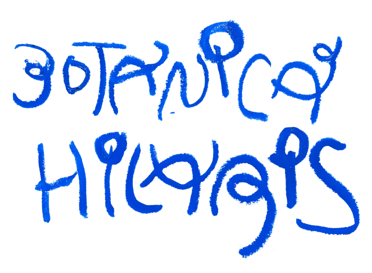 BOTANICA HILARIS - Václav Matoušek Bill the Hobo — Klášter Broumov, Broumov