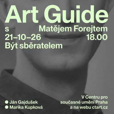Art Guide mit Matěj Forejt: Sammler sein — Zentrum für zeitgenössische Kunst Prag, Prag