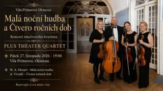 Eine kleine Nachtmusik and The Four Seasons