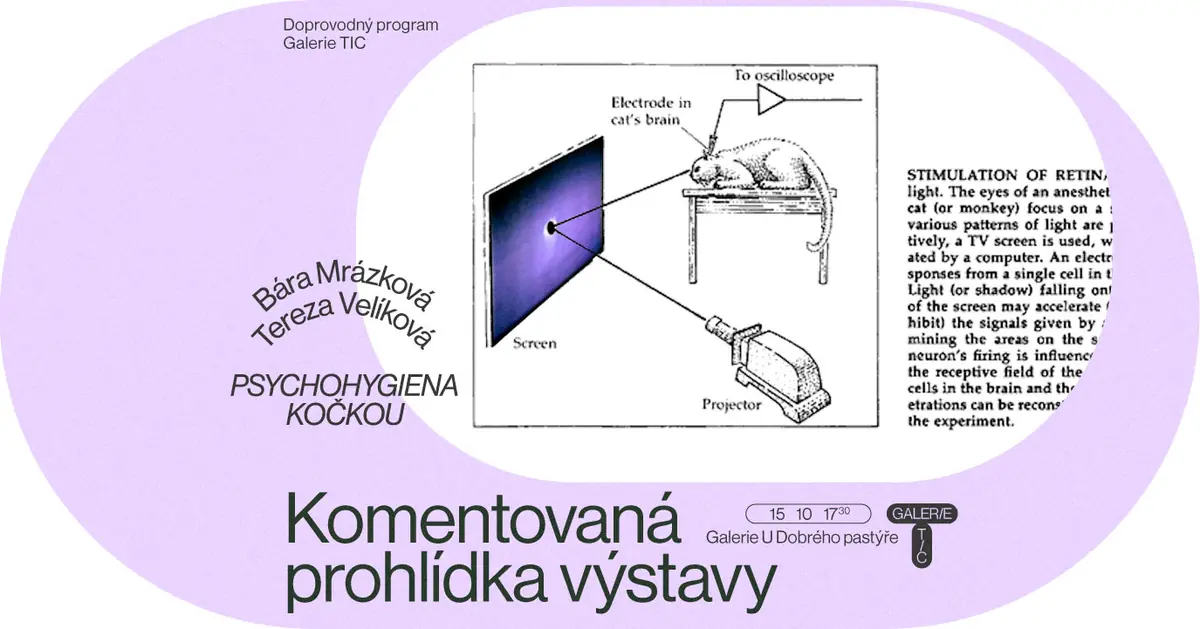 Kommentierte Führung - Psychohygiene mit Katzen — Galerie Kontext (Galerie TIC), Brünn
