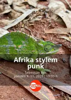Africa Punk Style