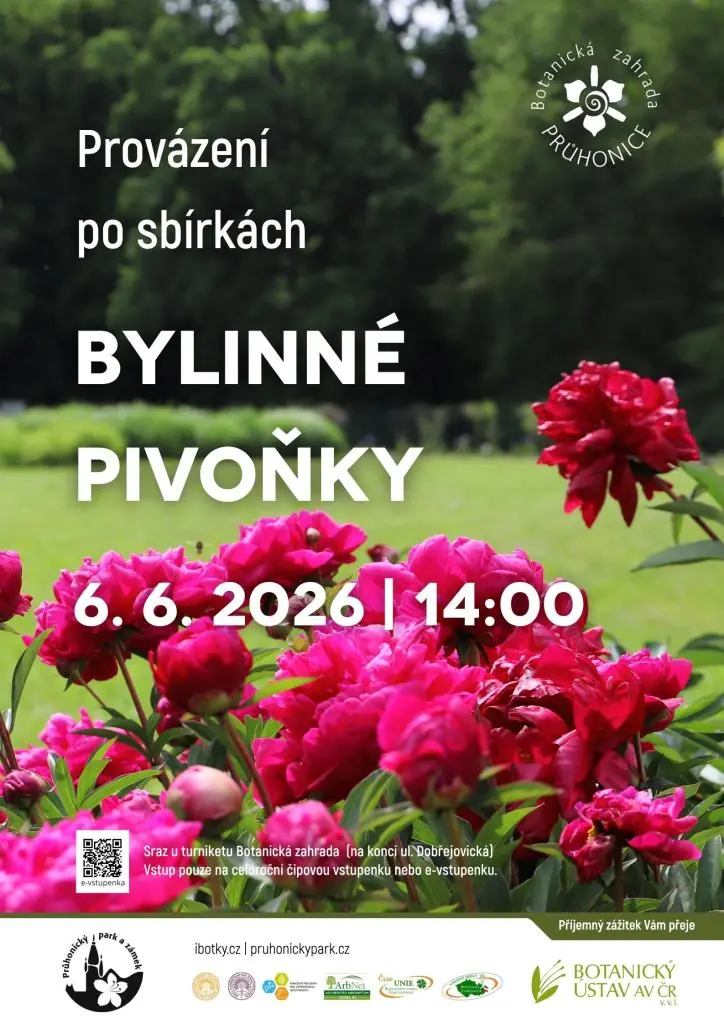 Provázení po sbírkách - Bylinné pivoňky — Průhonický park a zahrada, Průhonice, Praha
