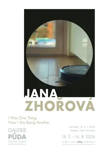 Jana Zhořová – I Was One Thing, Now I Am Being Another