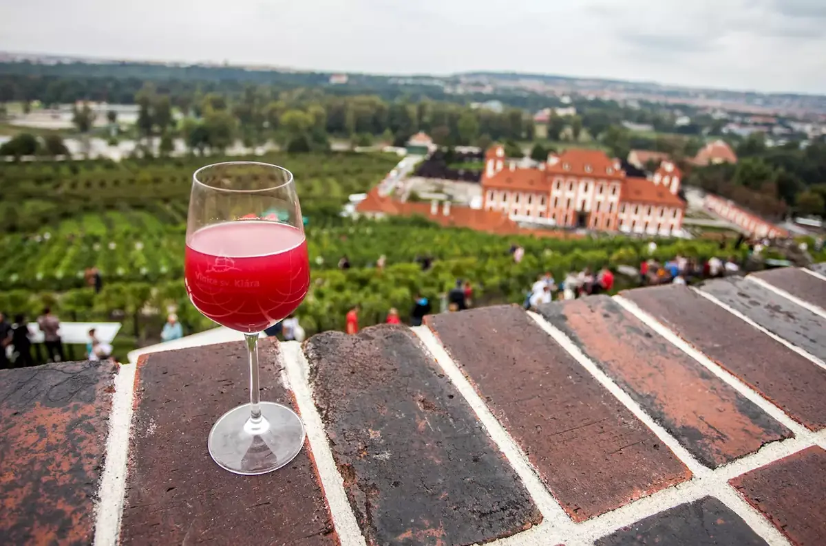 Pražské vinice 2026 – putování vinicemi hlavního města — Hlavní město Praha, Praha