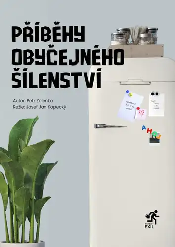 Příběhy obyčejného šílenství