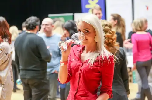 Tábor Wine Festival 2026
