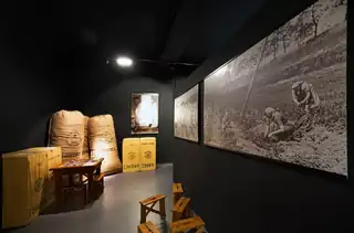 Žatec und die Landschaft des Žatec-Hopfens – Ausstellung im Nationalmuseum für Landwirtschaft