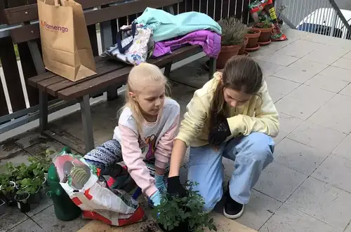 Совместное озеленение террасы библиотеки в Лесной
