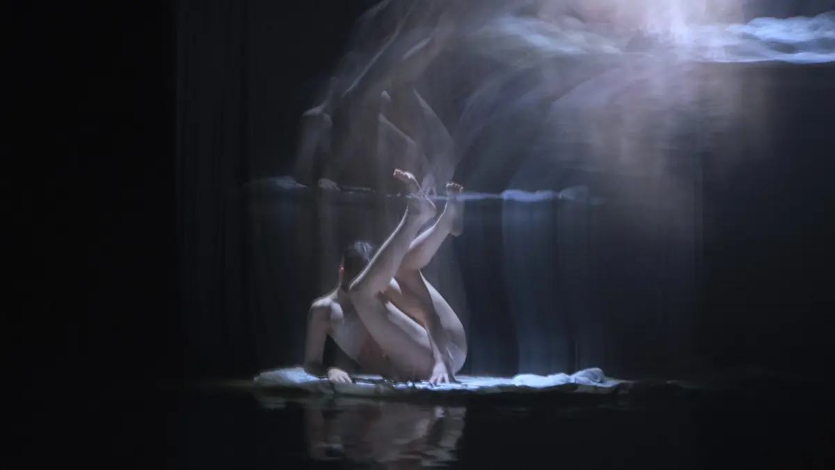 Fresh Dance — ARCHA+, Praha