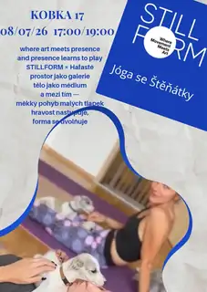 STILLFORM - YOGA MIT WELPEN | ART IN MOTION