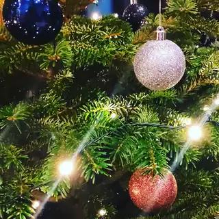 Різдвяний вихідний з програмою