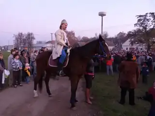 Sankt Martin in den Šaldorfer Kellern