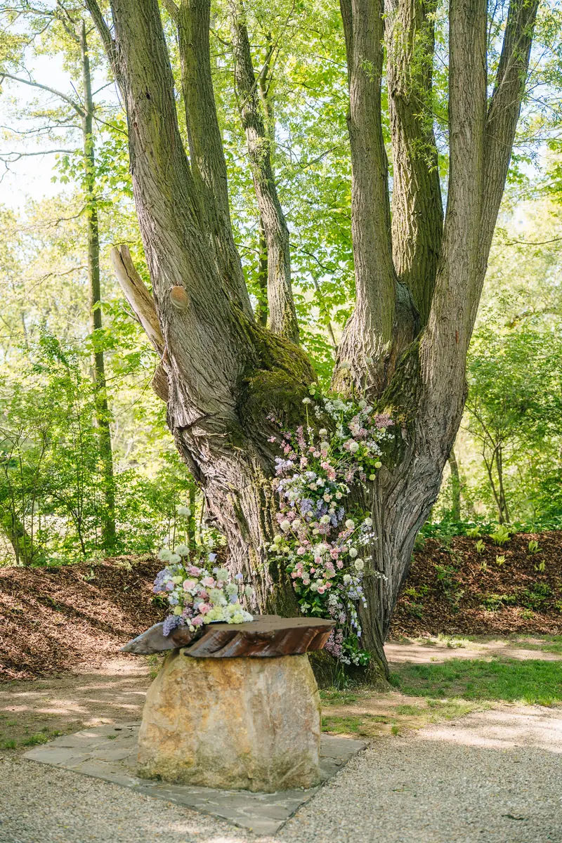 Весілля — Королицький двір, Královice