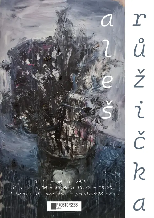 Aleš Růžička — Galerie Prostor 228, Liberec