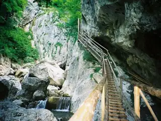 Bear Gorge Excursion