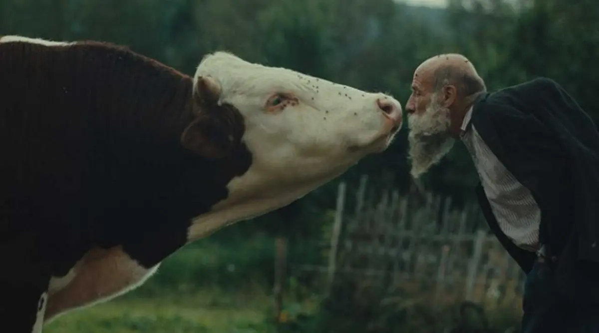 Raději zešílet v divočině — Kino Dlabačov, Praha