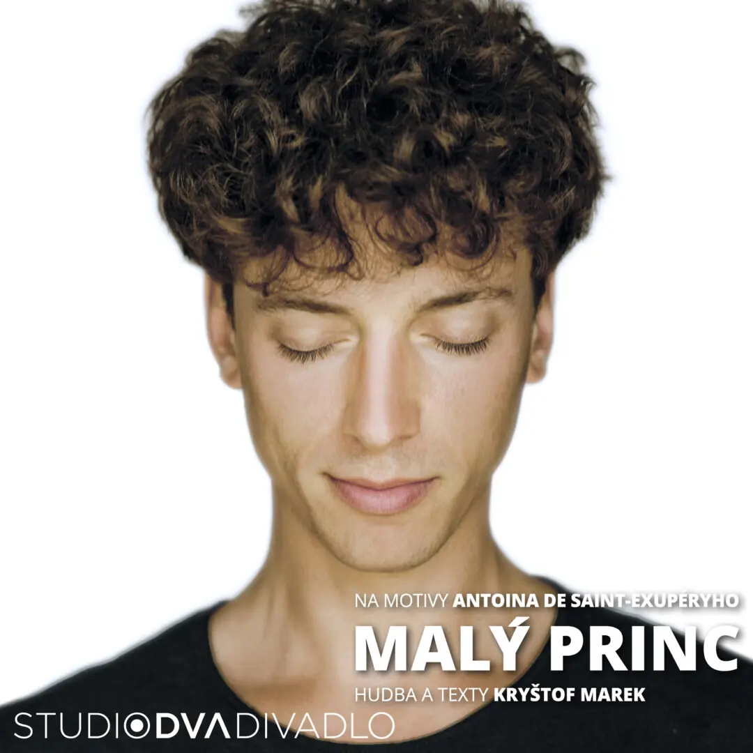 Malý princ — Studio DVA divadlo, Praha