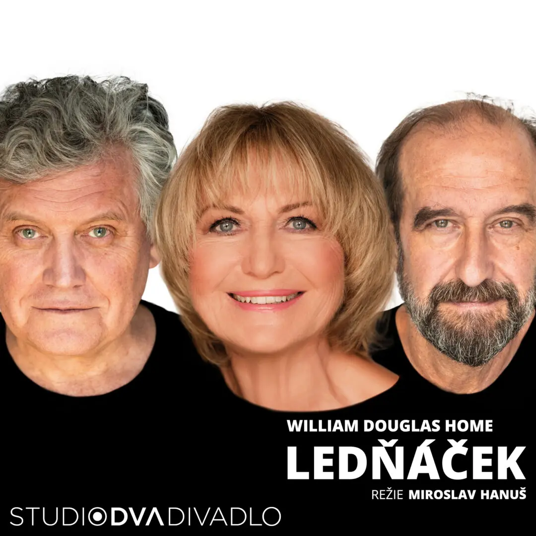Ledňáček — Studio DVA divadlo, Praha
