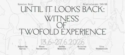 Until It Looks Back: Witness of Twofold Experience