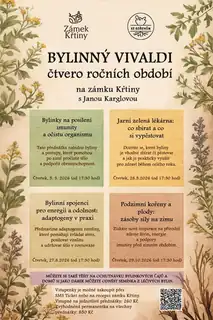 Herbal Allies for Energy and Resilience: Adaptogens in Practice