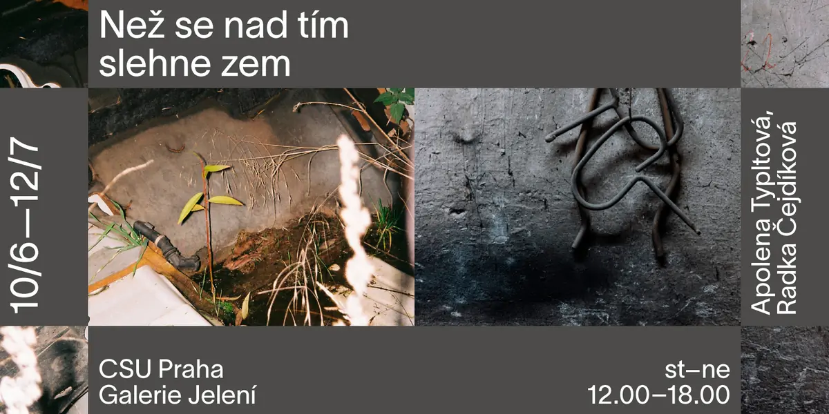 Apolena Typltová, Radka Čejdíková – Než se nad tím slehne zem — Centrum pro současné umění Praha, Praha
