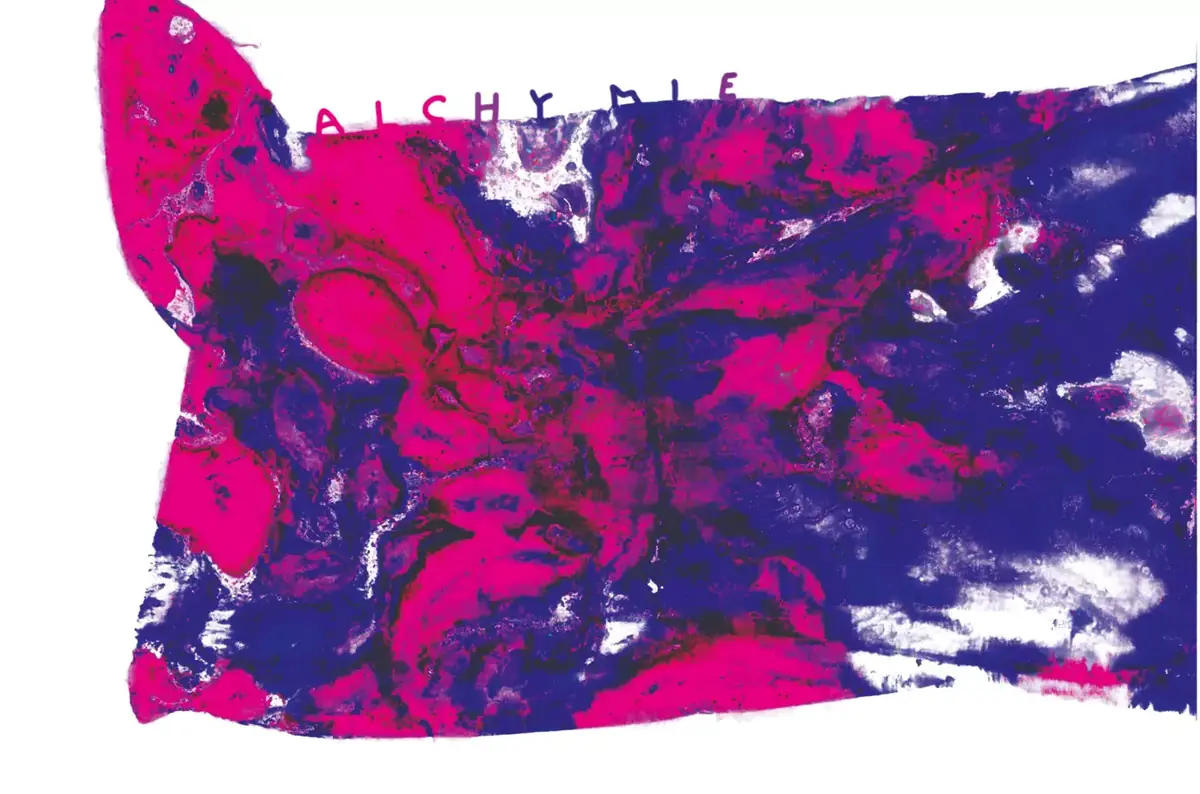 Alchemy – Exhibition of Visual Arts from ZUŠ Galerie 26 — Galerie FM, Frýdek-Místek