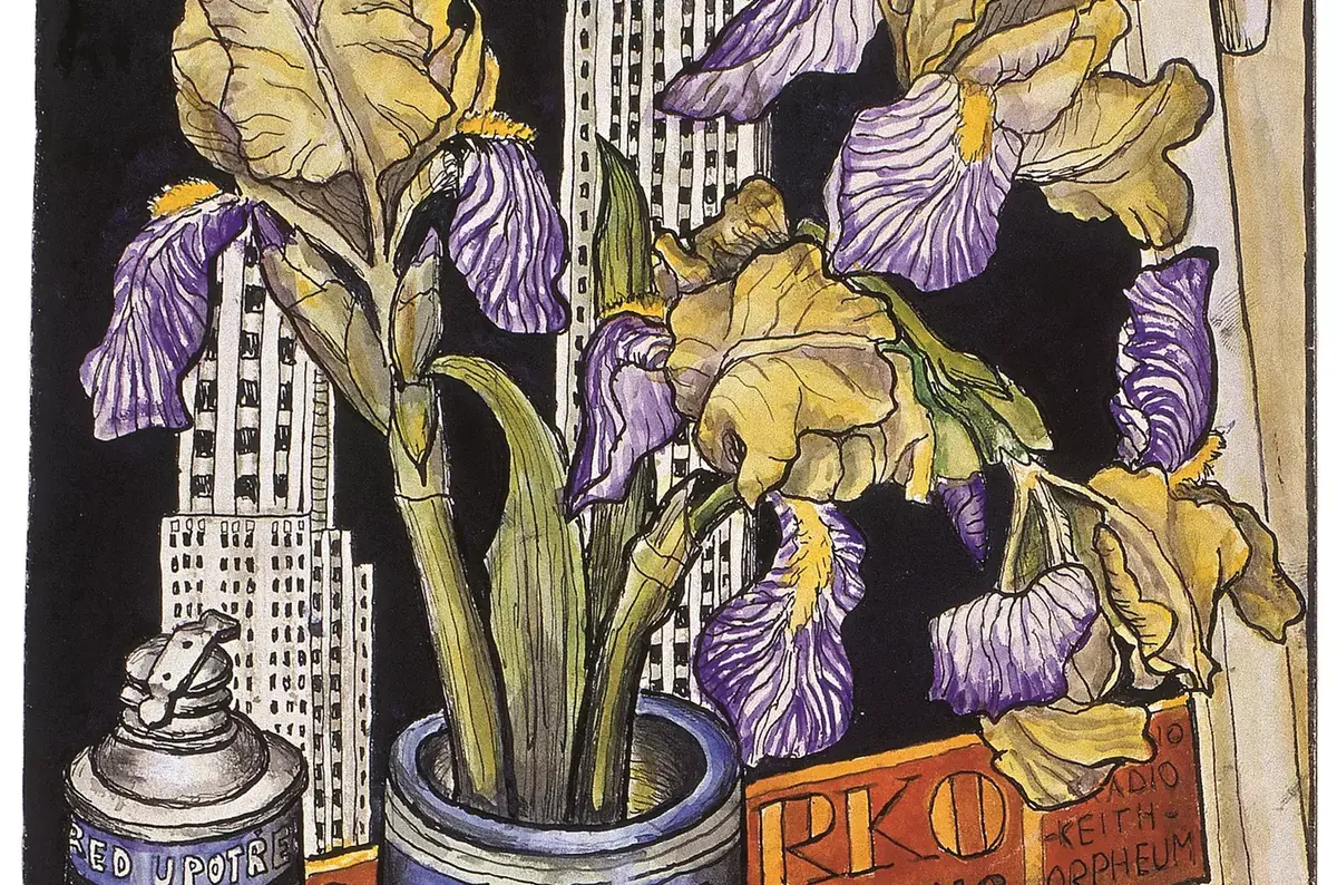 Věra Nováková & Pavel Brázda – Images, Words, Irises — Galerie Lázně Liberec, Liberec