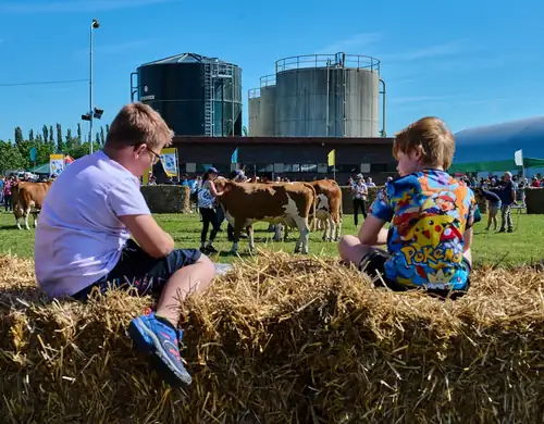 Agricultural Exhibition