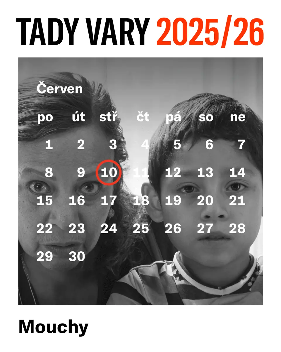 TADY VARY – Mouchy — Kino, Humpolec