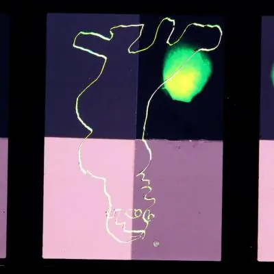 Art Workshop for Children and Adults: Animation on Film Strip — Kasárna Karlín, Prague