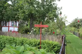 Walk through the Ořechovka Garden Colony