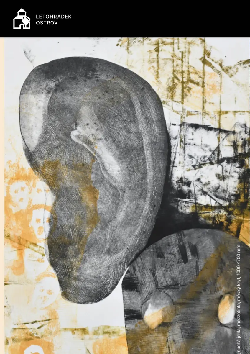 Lenka Vilhelmová – Durch das Unausgesprochene — Kunstgalerie Karlovy Vary, Karlovy Vary