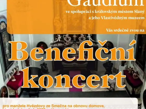 Benefizkonzert: Musik für einen guten Zweck — Heimatmuseum in Slaný, Slaný